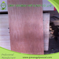 2.2mm 2.5mm 2.7mm 3mm Bintangor Door Skin Plywood with Poplar Core